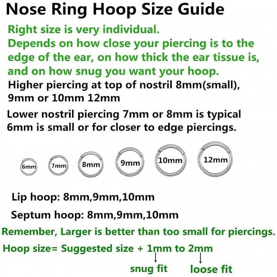 Clear CZ Nose Rings Hoop 316L Surgical Steel Cartilage Earrings Conch Daith Helix Rook Tragus Lobe Snug Body Piercing Jewelry 16G Stainless Steel Hinged Segment Rings Lip Rings