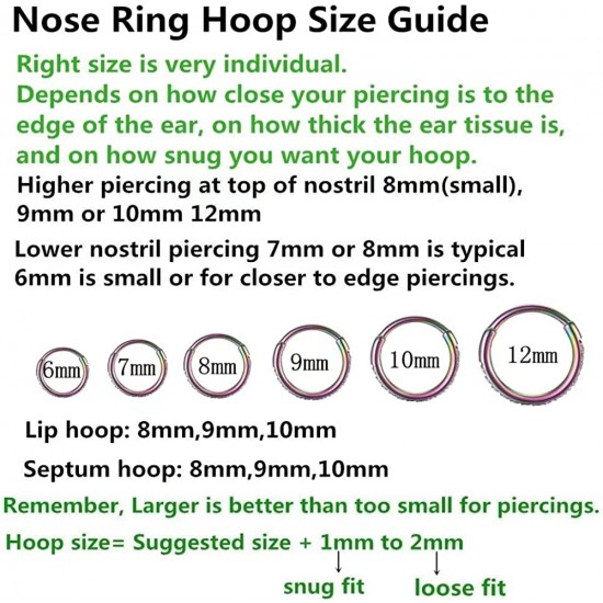 Clear CZ Nose Rings Hoop 316L Surgical Steel Cartilage Earrings Conch Daith Helix Rook Tragus Lobe Snug Body Piercing Jewelry 16G Stainless Steel Hinged Segment Rings Lip Rings