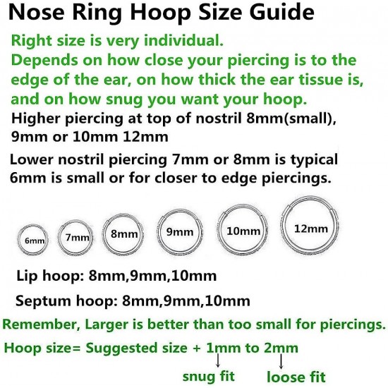 Clear CZ Nose Rings Hoop 316L Surgical Steel Cartilage Earrings Conch Daith Helix Rook Tragus Lobe Snug Body Piercing Jewelry 16G Stainless Steel Hinged Segment Rings Lip Rings