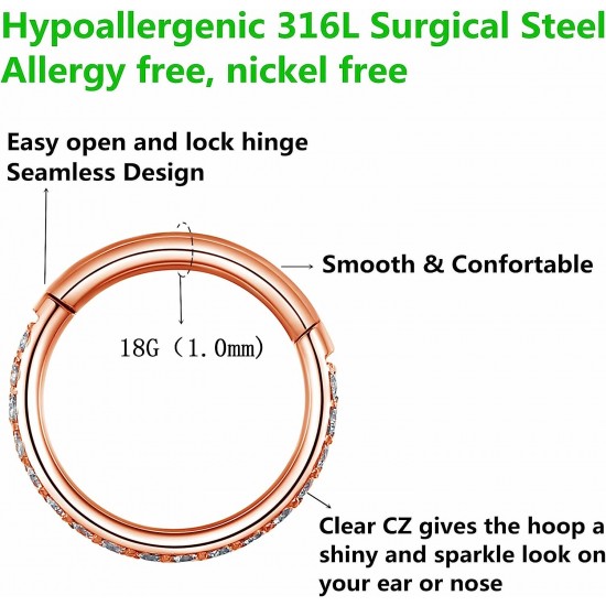 Clear CZ Nose Rings Hoop 316L Surgical Steel Cartilage Earrings Conch Daith Helix Rook Tragus Lobe Snug Body Piercing Jewelry 16G Stainless Steel Hinged Segment Rings Lip Rings