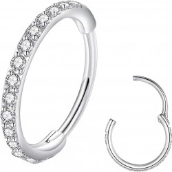Clear CZ Nose Rings Hoop 316L Surgical Steel Cartilage Earrings Conch Daith Helix Rook Tragus Lobe Snug Body Piercing Jewelry 16G Stainless Steel Hinged Segment Rings Lip Rings Clear CZ Nose Rings Hoop 316L Surgical Steel Cartilage Earrings Conch Daith Helix Rook Tragus Lobe Snug Body Piercing Jewelry 16G Stainless Steel Hinged Segment Rings Lip Rings