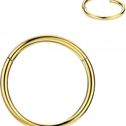 316L Surgical Steel Hinged Nose Rings Hoop 20G, Diameter 6mm to 10mm, Gold - Rose Gold - Silver - Black - Blue - Rainbow 316L Surgical Steel Hinged Nose Rings Hoop 20G, Diameter 6mm to 10mm, Gold - Rose Gold - Silver - Black - Blue - Rainbow