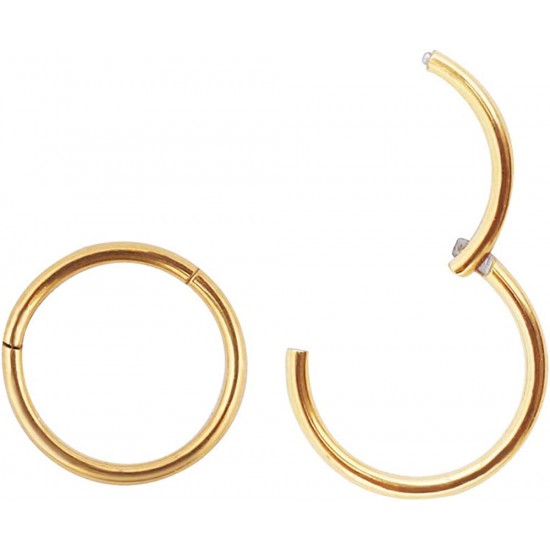 316L Surgical Steel Hinged Nose Rings Hoop 20G, Diameter 6mm to 10mm, Gold - Rose Gold - Silver - Black - Blue - Rainbow