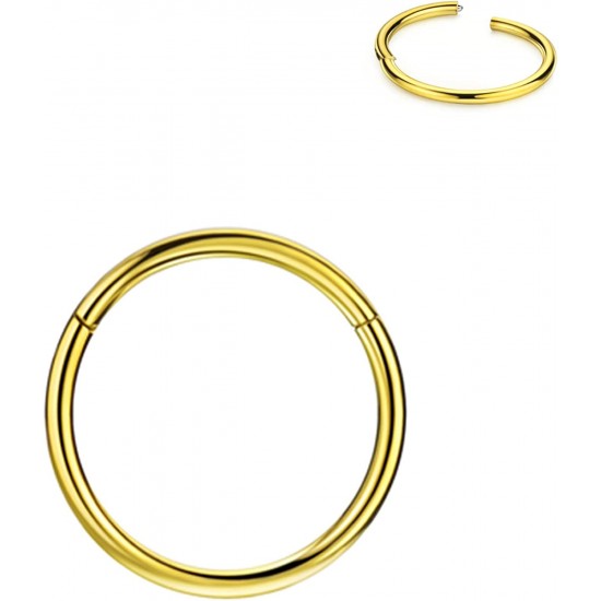 316L Surgical Steel Hinged Nose Rings Hoop 20G, Diameter 6mm to 10mm, Gold - Rose Gold - Silver - Black - Blue - Rainbow