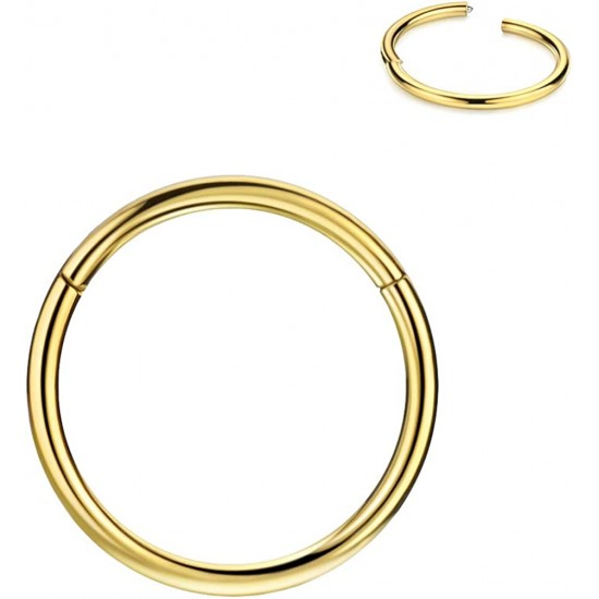 316L Surgical Steel Hinged Nose Rings Hoop 20G, Diameter 6mm to 10mm, Gold - Rose Gold - Silver - Black - Blue - Rainbow