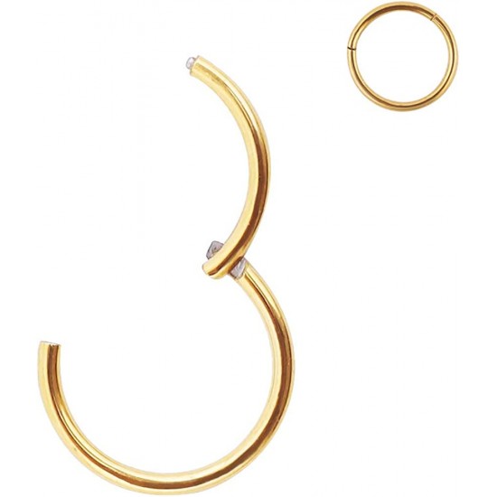 316L Surgical Steel Hinged Nose Rings Hoop 20G, Diameter 6mm to 10mm, Gold - Rose Gold - Silver - Black - Blue - Rainbow