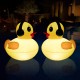Floating Solar Pool Lights 16 inch Waterproof Pool Lights that Float Light up LED Pool Accessories Glow Duck Pool Lights Inflatable Solar Powered Floating Lights for Pool,Pond,Hot tub,Party Floating Solar Pool Lights 16 inch Waterproof Pool Lights that Float Light up LED Pool Accessories Glow Duck Pool Lights Inflatable Solar Powered Floating Lights for Pool,Pond,Hot tub,Party