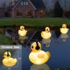 Floating Solar Pool Lights 16 inch Waterproof Pool Lights that Float Light up LED Pool Accessories Glow Duck Pool Lights Inflatable Solar Powered Floating Lights for Pool,Pond,Hot tub,Party Floating Solar Pool Lights 16 inch Waterproof Pool Lights that Float Light up LED Pool Accessories Glow Duck Pool Lights Inflatable Solar Powered Floating Lights for Pool,Pond,Hot tub,Party