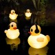 Floating Solar Pool Lights 16 inch Waterproof Pool Lights that Float Light up LED Pool Accessories Glow Duck Pool Lights Inflatable Solar Powered Floating Lights for Pool,Pond,Hot tub,Party Floating Solar Pool Lights 16 inch Waterproof Pool Lights that Float Light up LED Pool Accessories Glow Duck Pool Lights Inflatable Solar Powered Floating Lights for Pool,Pond,Hot tub,Party