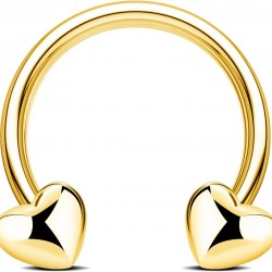 16G Septum Rings Heart Cartilage Earring Hoop 316L Stainless Steel Helix Earring Daith Earring Nose Ring Hoop Septum Piercing Jewelry for Women and Men 16G Septum Rings Heart Cartilage Earring Hoop 316L Stainless Steel Helix Earring Daith Earring Nose Ring Hoop Septum Piercing Jewelry for Women and Men