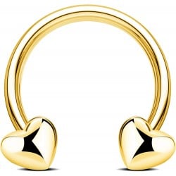 16G Septum Rings Heart Cartilage Earring Hoop 316L Stainless Steel Helix Earring Daith Earring Nose Ring Hoop Septum Piercing Jewelry for Women and Men 16G Septum Rings Heart Cartilage Earring Hoop 316L Stainless Steel Helix Earring Daith Earring Nose Ring Hoop Septum Piercing Jewelry for Women and Men