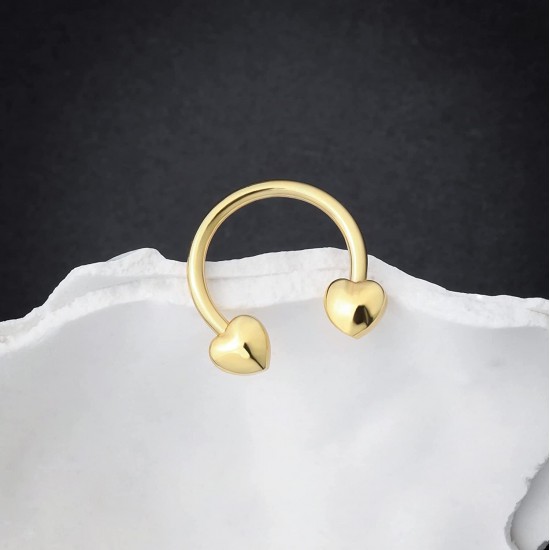 16G Septum Rings Heart Cartilage Earring Hoop 316L Stainless Steel Helix Earring Daith Earring Nose Ring Hoop Septum Piercing Jewelry for Women and Men