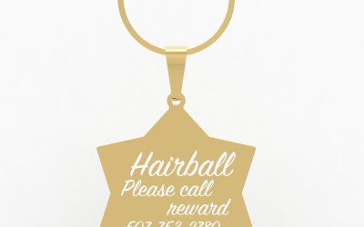 Callancity Personalized Custom dog tags in a variety of shapes Stainless Steel Anti-lost Pet Nameplate Pendant, Give Your Pet a Lovely Christmas Gift. Callancity Personalized Custom dog tags in a variety of shapes Stainless Steel Anti-lost Pet Nameplate Pendant, Give Your Pet a Lovely Christmas Gift.